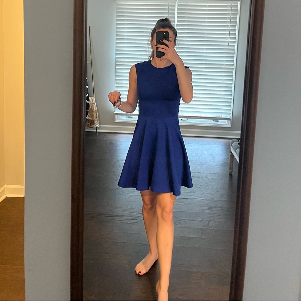 Arwyn Panelled Skater Dress